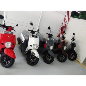 Scooter Pista Vcx 110.cc