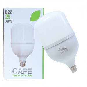 Ampoule Led B22 - 30W