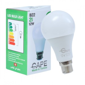 Ampoule Led B22 - 12W