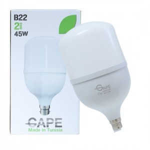 Ampoule Led B22 - 45W