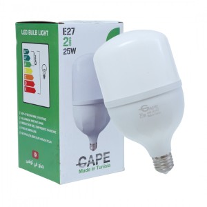 Ampoule Led E27 - 25W