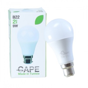 Ampoule Led B22 - 9W